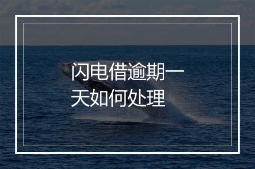 闪电借逾期一天如何处理