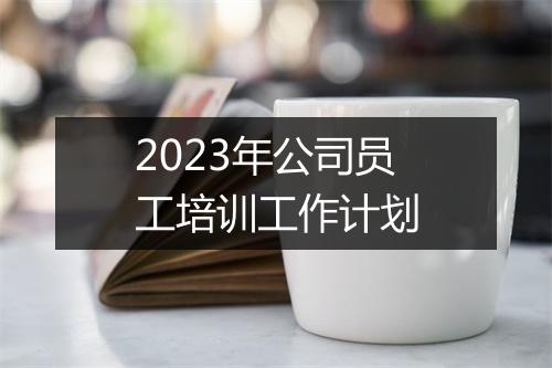 2023年公司员工培训工作计划