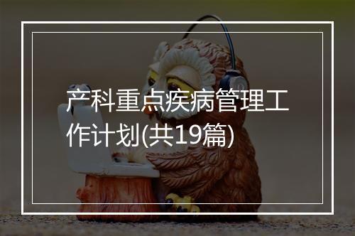 产科重点疾病管理工作计划(共19篇)