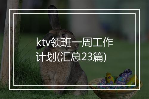 ktv领班一周工作计划(汇总23篇)