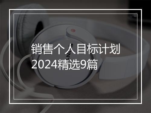 销售个人目标计划2024精选9篇
