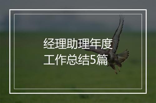 经理助理年度工作总结5篇