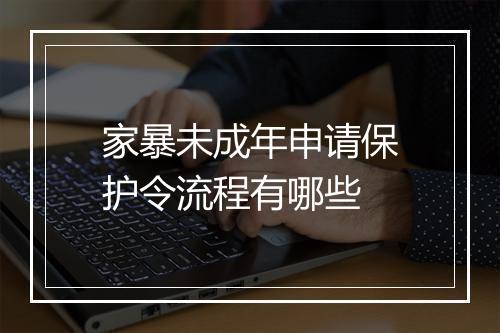 家暴未成年申请保护令流程有哪些