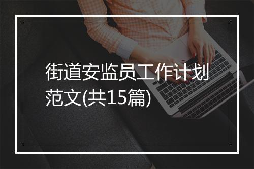 街道安监员工作计划范文(共15篇)