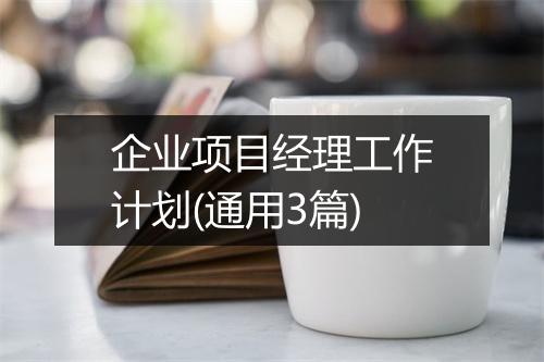 企业项目经理工作计划(通用3篇)