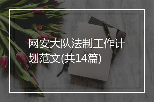 网安大队法制工作计划范文(共14篇)