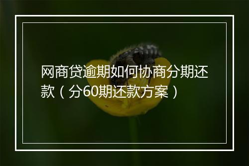 网商贷逾期如何协商分期还款（分60期还款方案）