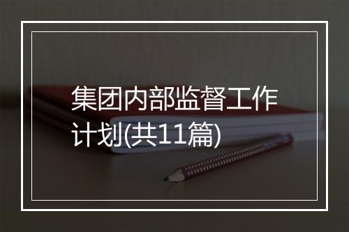 集团内部监督工作计划(共11篇)