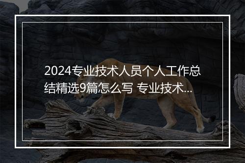 2024专业技术人员个人工作总结精选9篇怎么写 专业技术人员个人工作总结精选9篇