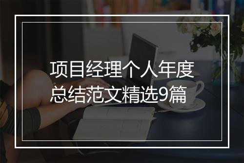 项目经理个人年度总结范文精选9篇
