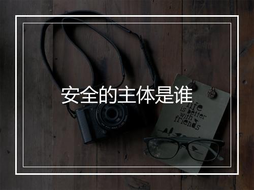 安全的主体是谁