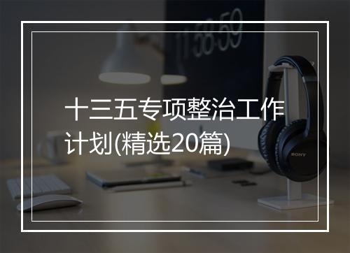 十三五专项整治工作计划(精选20篇)