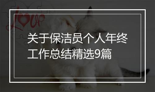 关于保洁员个人年终工作总结精选9篇