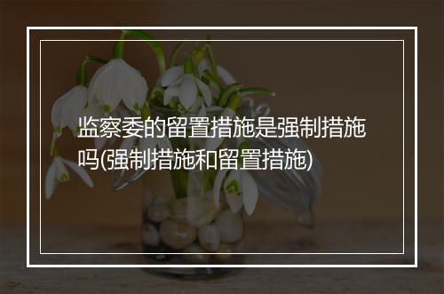 监察委的留置措施是强制措施吗(强制措施和留置措施)