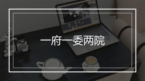一府一委两院