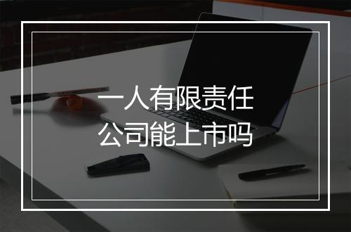 一人有限责任公司能上市吗