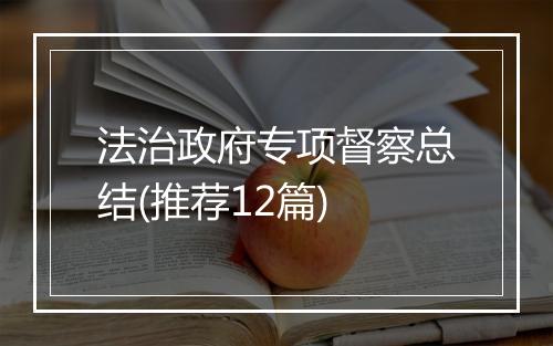 法治政府专项督察总结(推荐12篇)