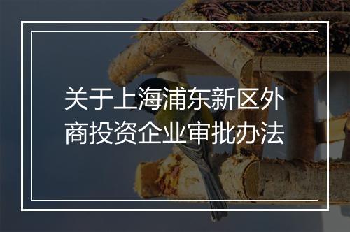关于上海浦东新区外商投资企业审批办法