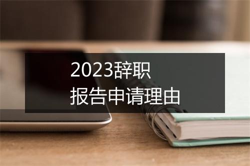 2023辞职报告申请理由