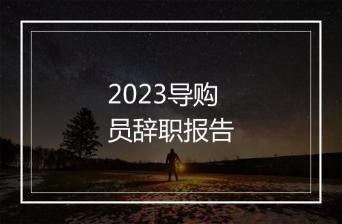 2023导购员辞职报告