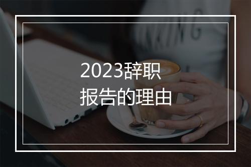 2023辞职报告的理由