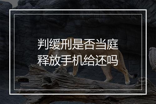 判缓刑是否当庭释放手机给还吗