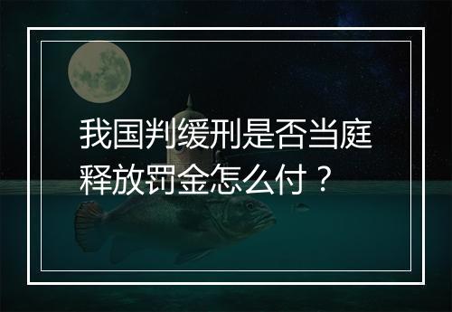 我国判缓刑是否当庭释放罚金怎么付？