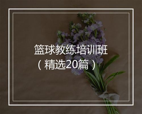 篮球教练培训班（精选20篇）