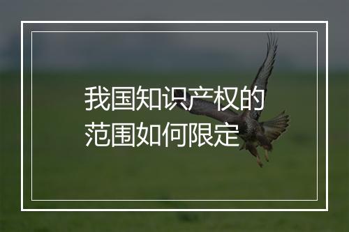 我国知识产权的范围如何限定