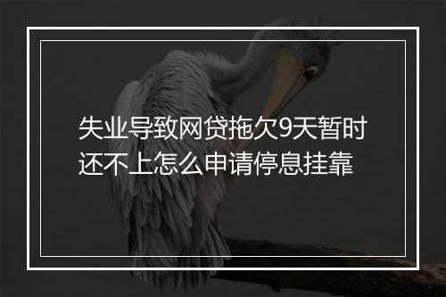 失业导致网贷拖欠9天暂时还不上怎么申请停息挂靠