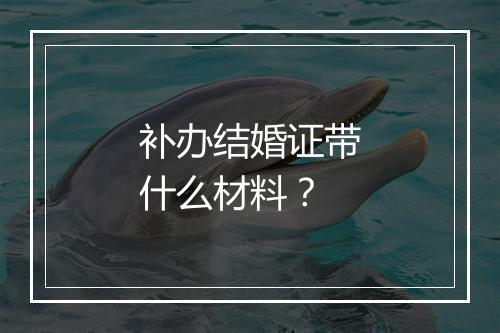 补办结婚证带什么材料？