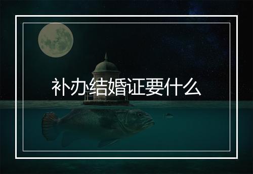 补办结婚证要什么