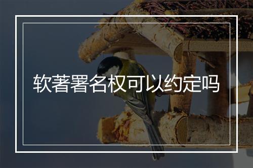 软著署名权可以约定吗
