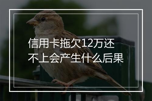 信用卡拖欠12万还不上会产生什么后果
