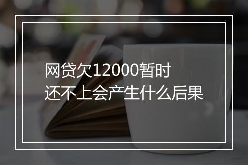 网贷欠12000暂时还不上会产生什么后果