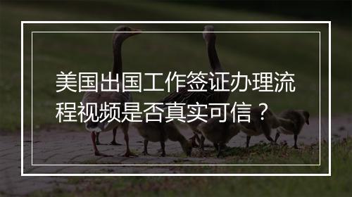 美国出国工作签证办理流程视频是否真实可信？