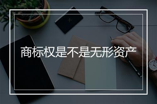 商标权是不是无形资产