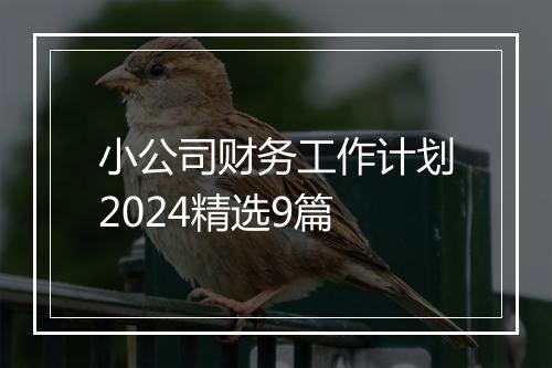 小公司财务工作计划2024精选9篇