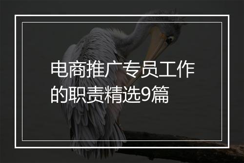 电商推广专员工作的职责精选9篇