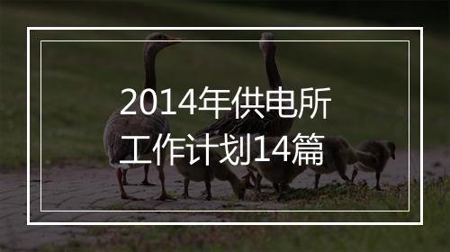 2014年供电所工作计划14篇
