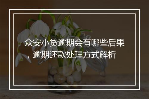 众安小贷逾期会有哪些后果，逾期还款处理方式解析