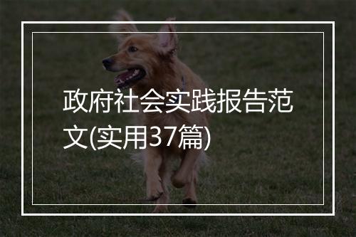 政府社会实践报告范文(实用37篇)