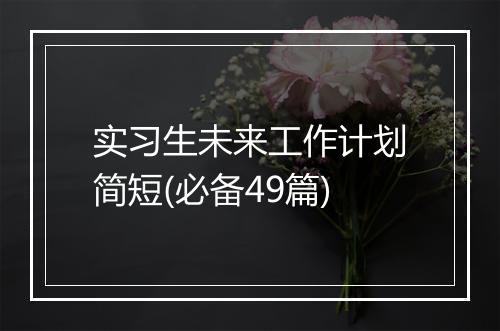 实习生未来工作计划简短(必备49篇)