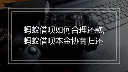 蚂蚁借呗如何合理还款,蚂蚁借呗本金协商归还