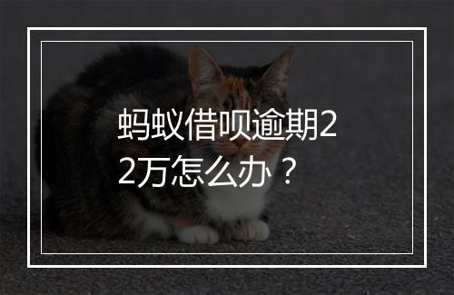 蚂蚁借呗逾期22万怎么办？