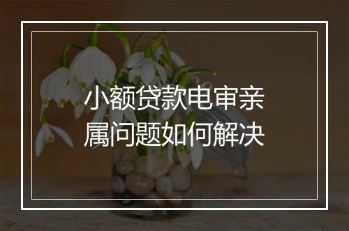 小额贷款电审亲属问题如何解决