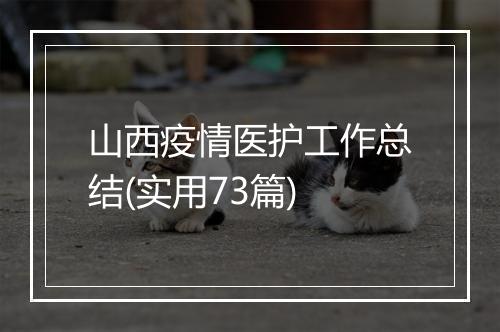 山西疫情医护工作总结(实用73篇)