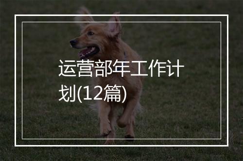 运营部年工作计划(12篇)