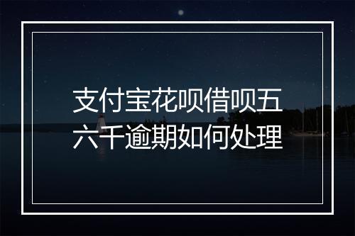 支付宝花呗借呗五六千逾期如何处理