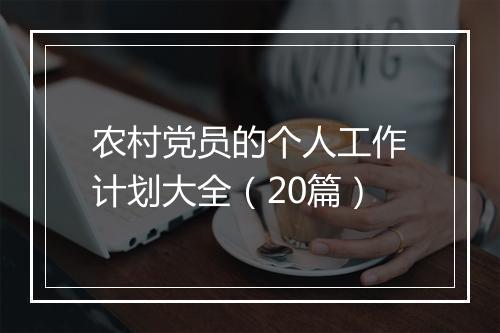 农村党员的个人工作计划大全（20篇）